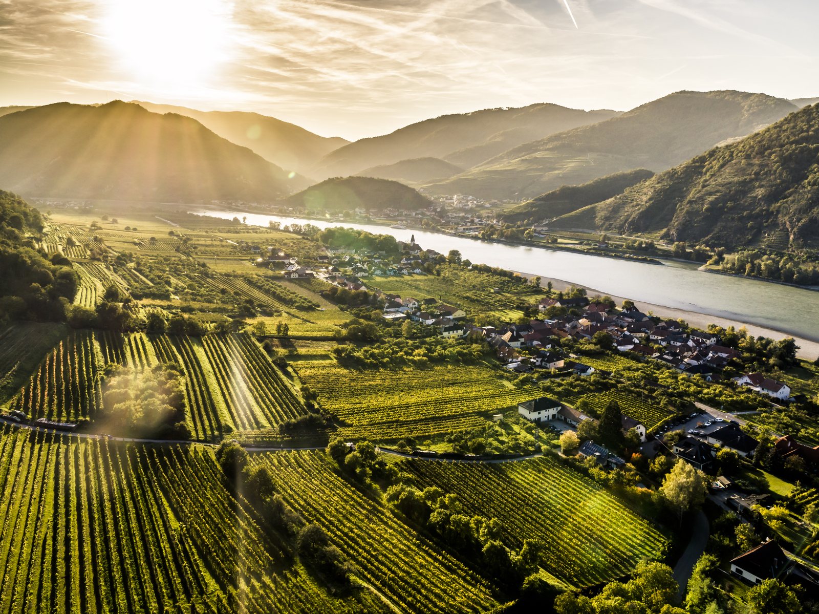 Weingärten im Kremstal mit Blick über die Rieden