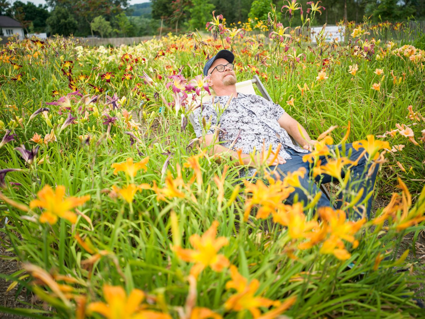Schaugarten Oberleitner Gartenkultur in Pöchlarn