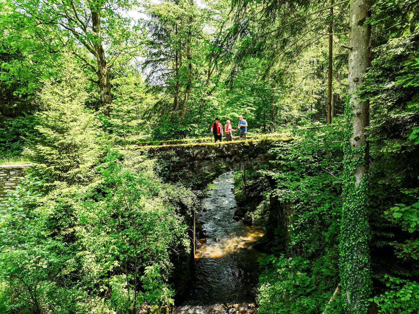 Brücke über einen Bach im Schwarzautal