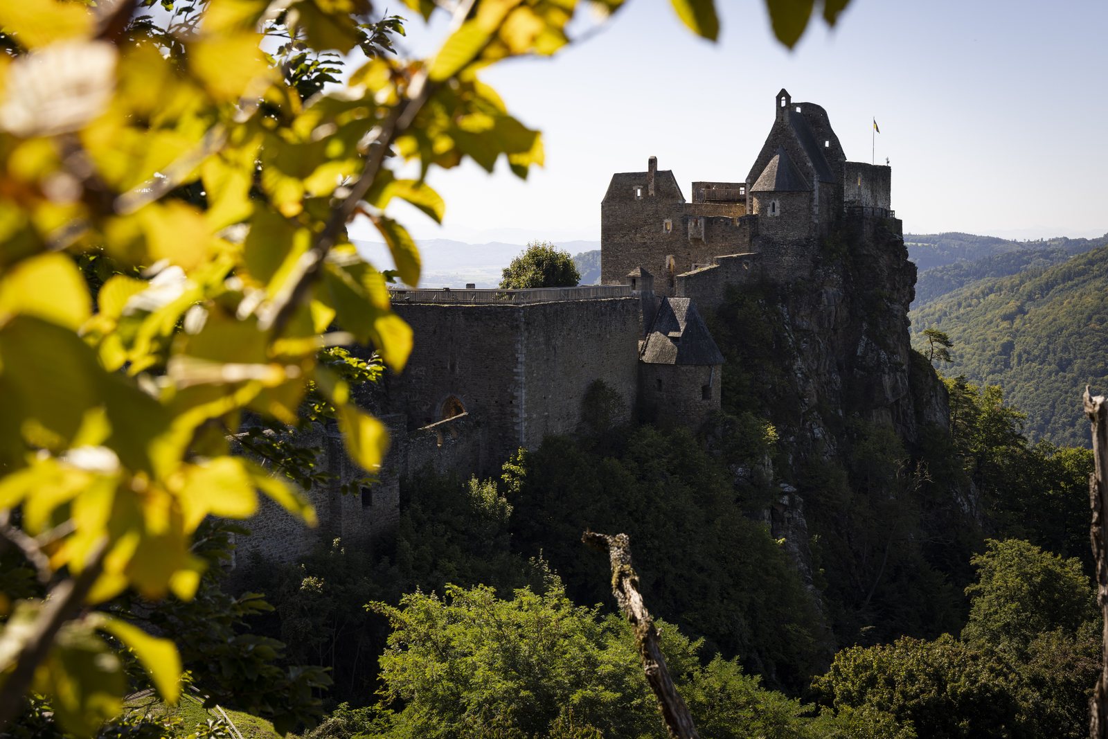 Burgruine Aggstein über dem Donautal in der Wachau