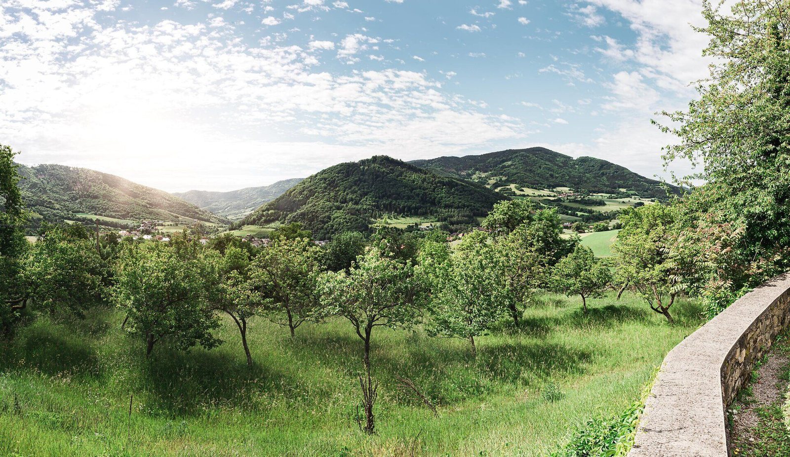 Blick über die Wiesen im Naturpark Jauerling-Wachau